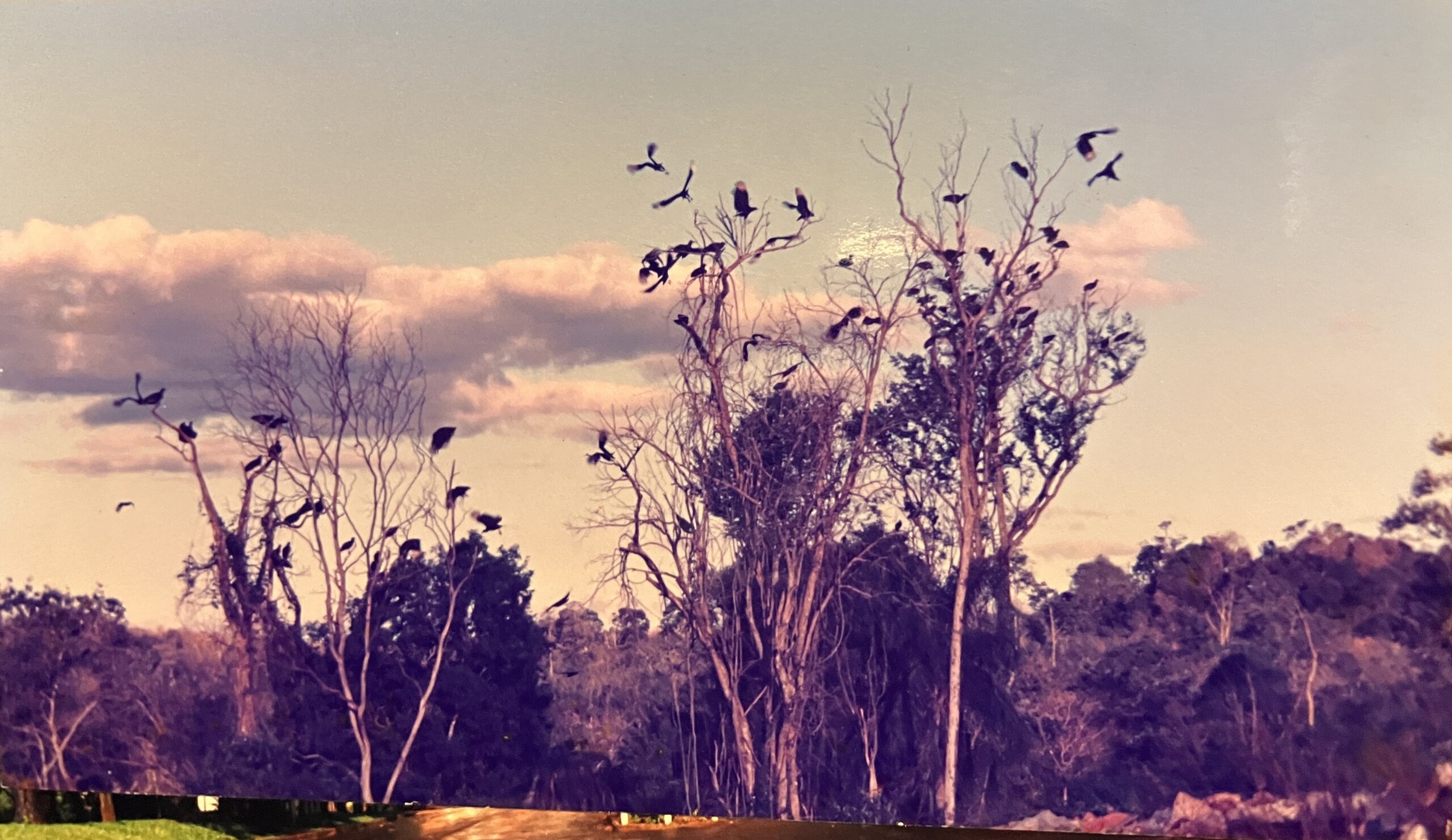 アルゼンチンで絵描きと結婚した話｜3つの物語